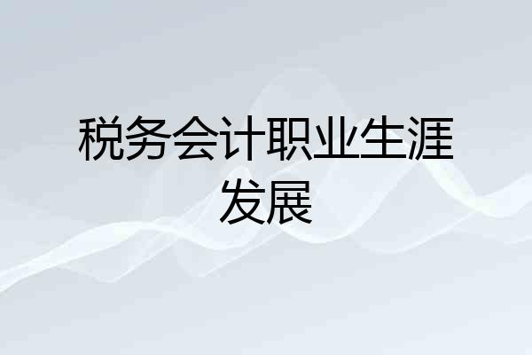 税务会计职业生涯发展