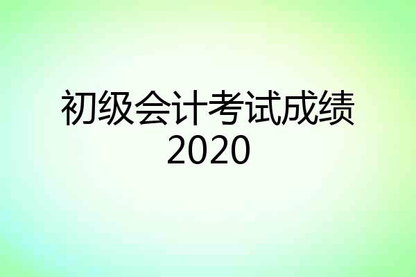 初级会计考试成绩2020