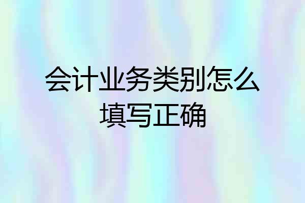 会计业务类别怎么填写正确