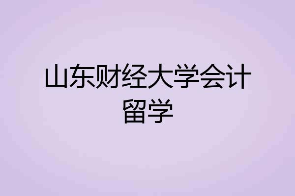 山东财经大学会计留学