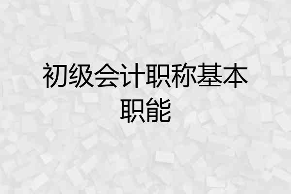 初级会计职称基本职能