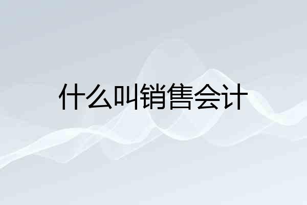 什么叫销售会计