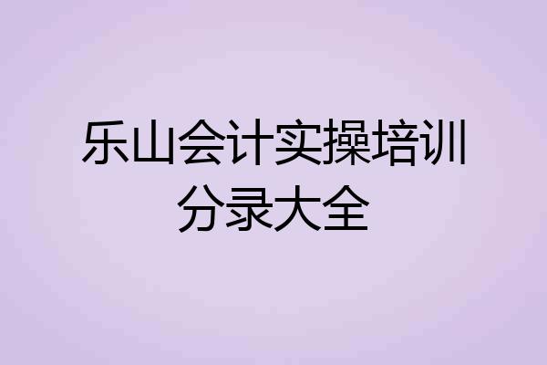 乐山会计实操培训分录大全