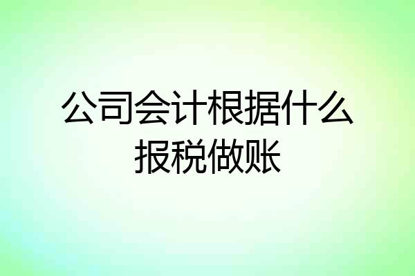 公司会计根据什么报税做账