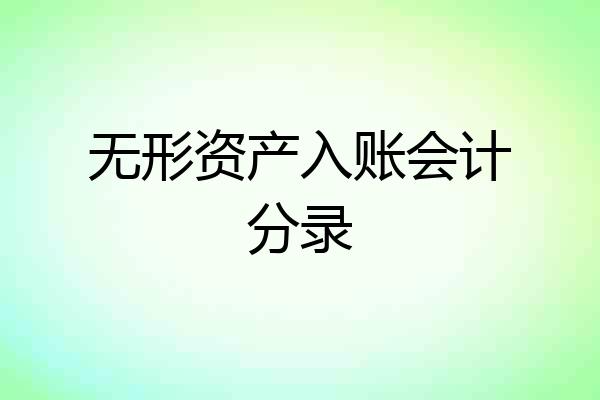 无形资产入账会计分录