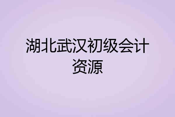 湖北武汉初级会计资源