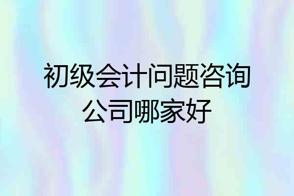 初级会计问题咨询公司哪家好