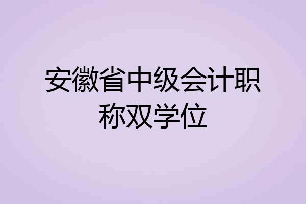 安徽省中级会计职称双学位