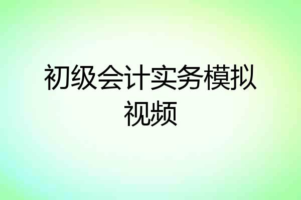 初级会计实务模拟视频