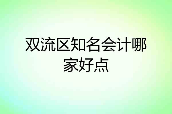 双流区知名会计哪家好点