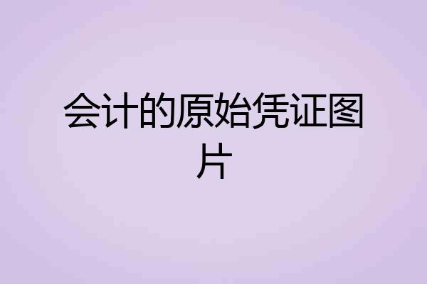 会计的原始凭证图片