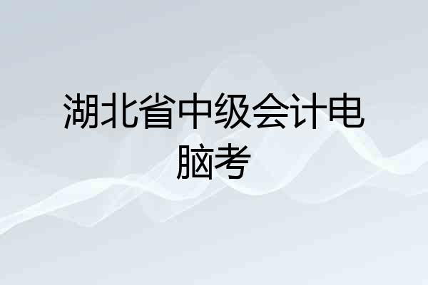 湖北省中级会计电脑考