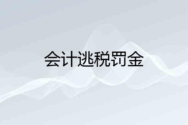 会计逃税罚金