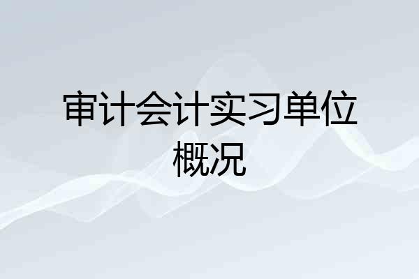 审计会计实习单位概况