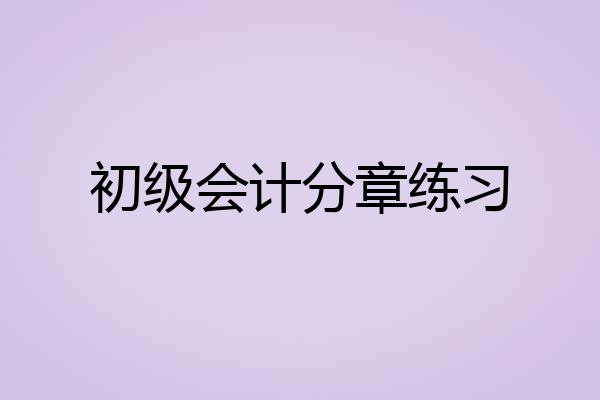 初级会计分章练习
