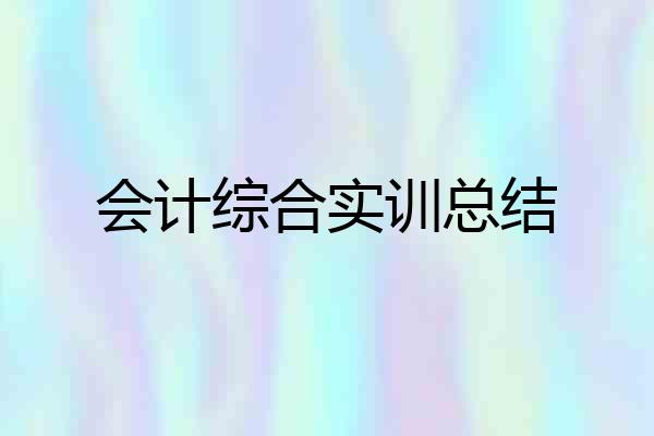 会计综合实训总结