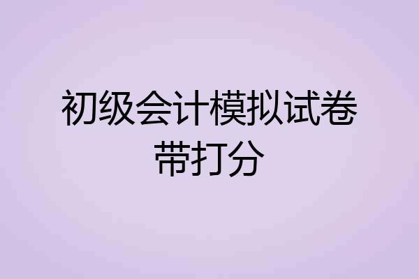 初级会计模拟试卷带打分