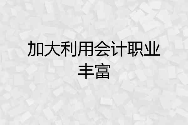 加大利用会计职业丰富
