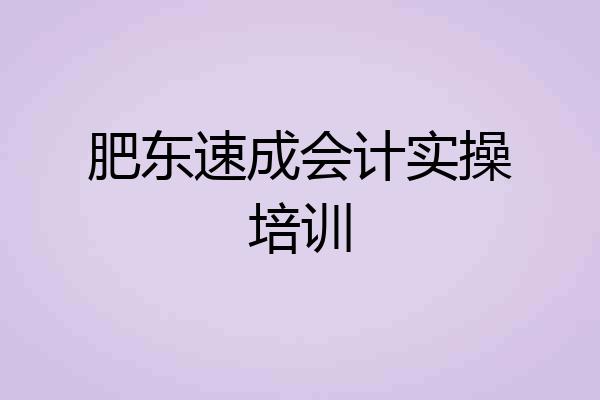 肥东速成会计实操培训