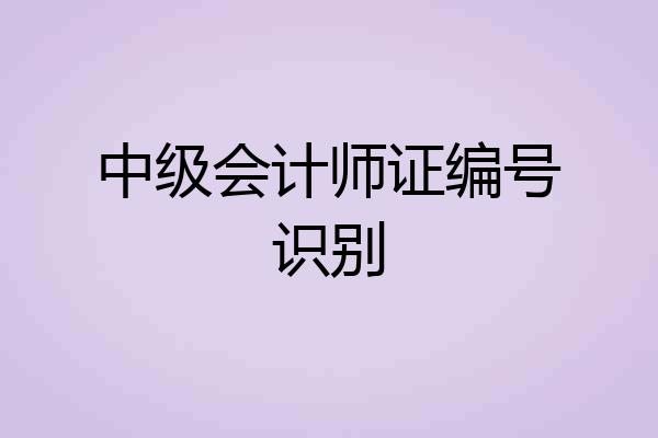 中级会计师证编号识别