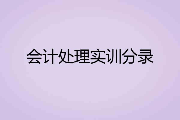 会计处理实训分录