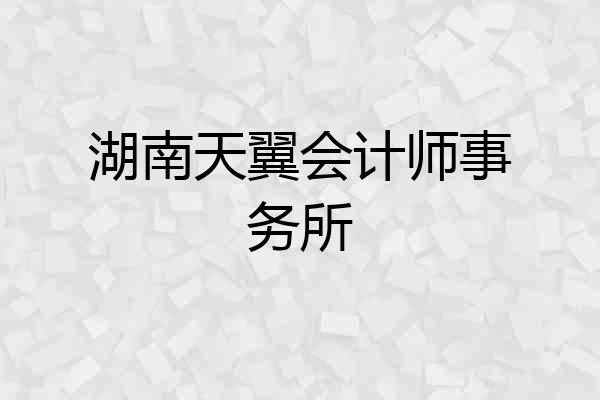 湖南天翼会计师事务所
