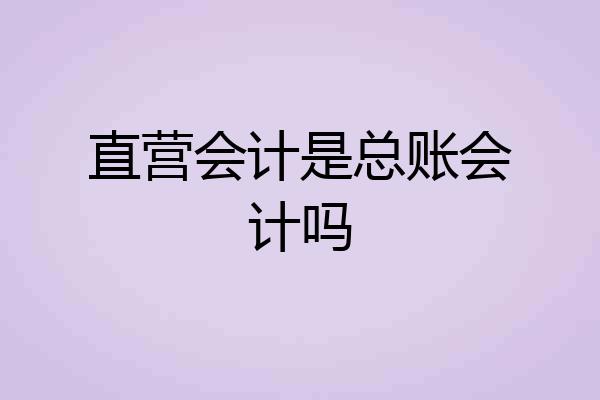 直营会计是总账会计吗