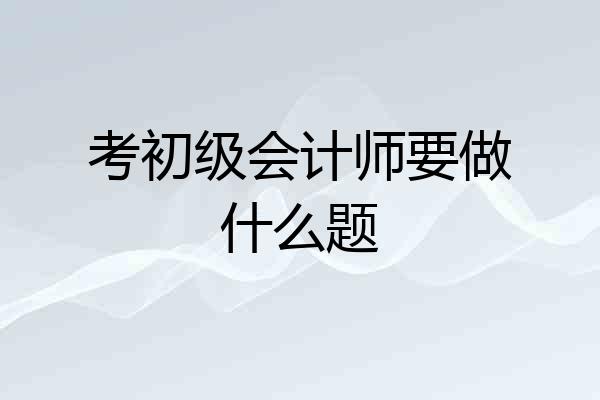 考初级会计师要做什么题