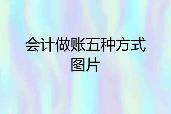 会计做账五种方式图片