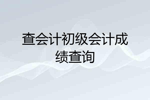 查会计初级会计成绩查询