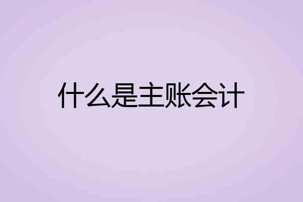 什么是主账会计