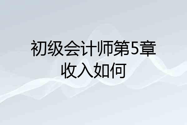 初级会计师第5章收入如何