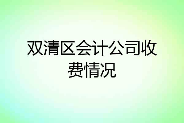 双清区会计公司收费情况