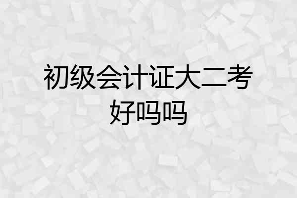 初级会计证大二考好吗吗