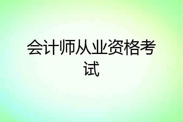 会计师从业资格考试