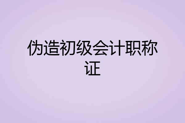 伪造初级会计职称证