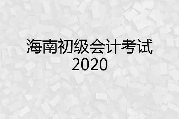 海南初级会计考试2020