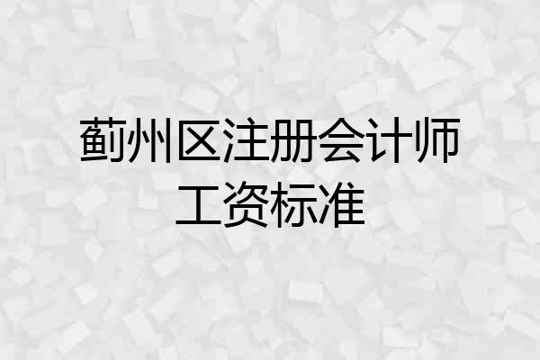 蓟州区注册会计师工资标准