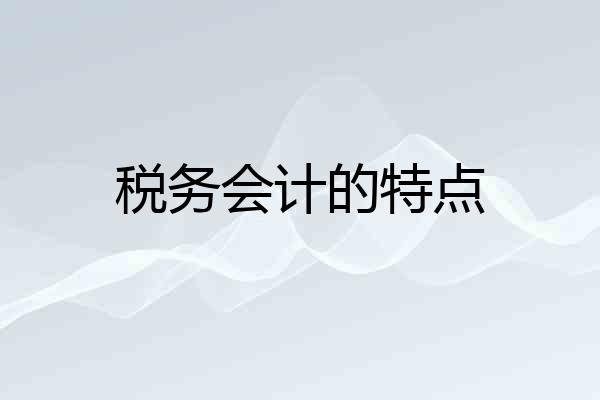税务会计的特点