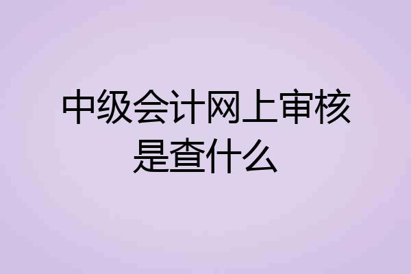 中级会计网上审核是查什么