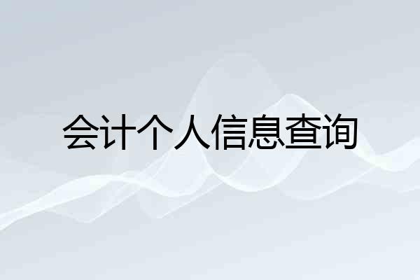 会计个人信息查询