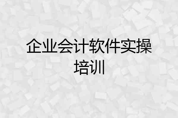 企业会计软件实操培训