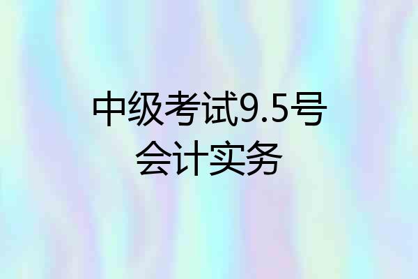 中级考试9.5号会计实务