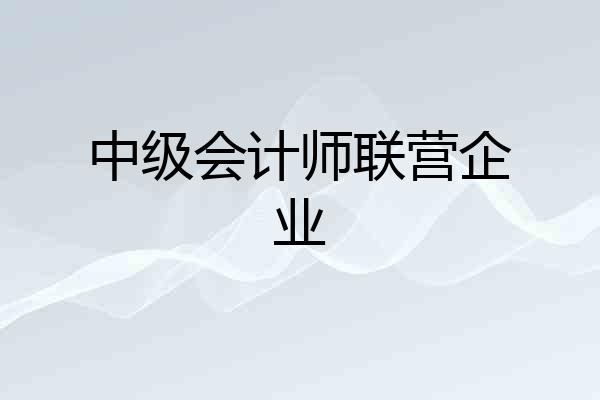 中级会计师联营企业