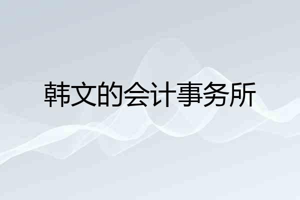韩文的会计事务所