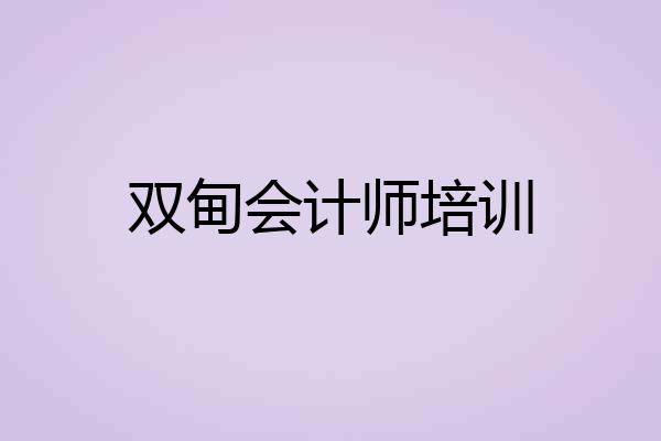 双甸会计师培训