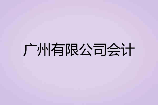 广州有限公司会计