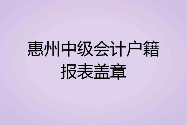 惠州中级会计户籍报表盖章