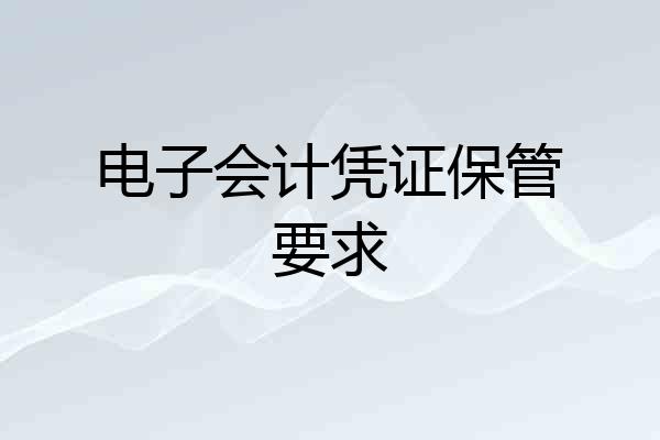 电子会计凭证保管要求
