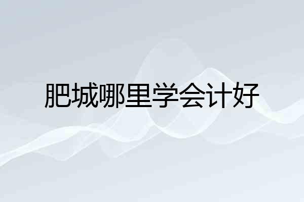 肥城哪里学会计好
